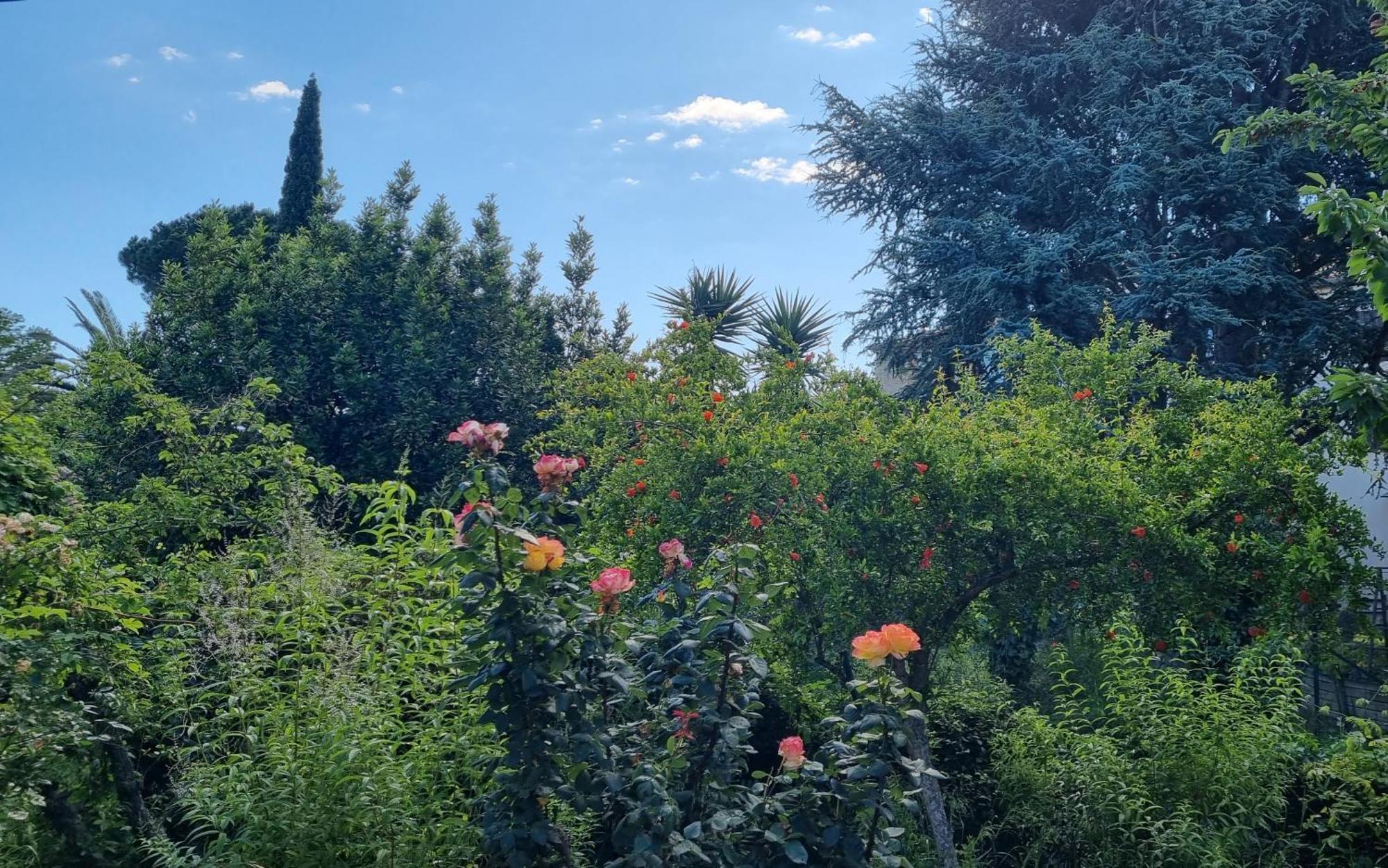 Villa El Correc Laroque-des-Albères Εξωτερικό φωτογραφία